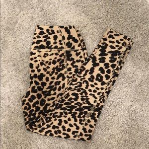 Animal Print Cotton Blend Leggings